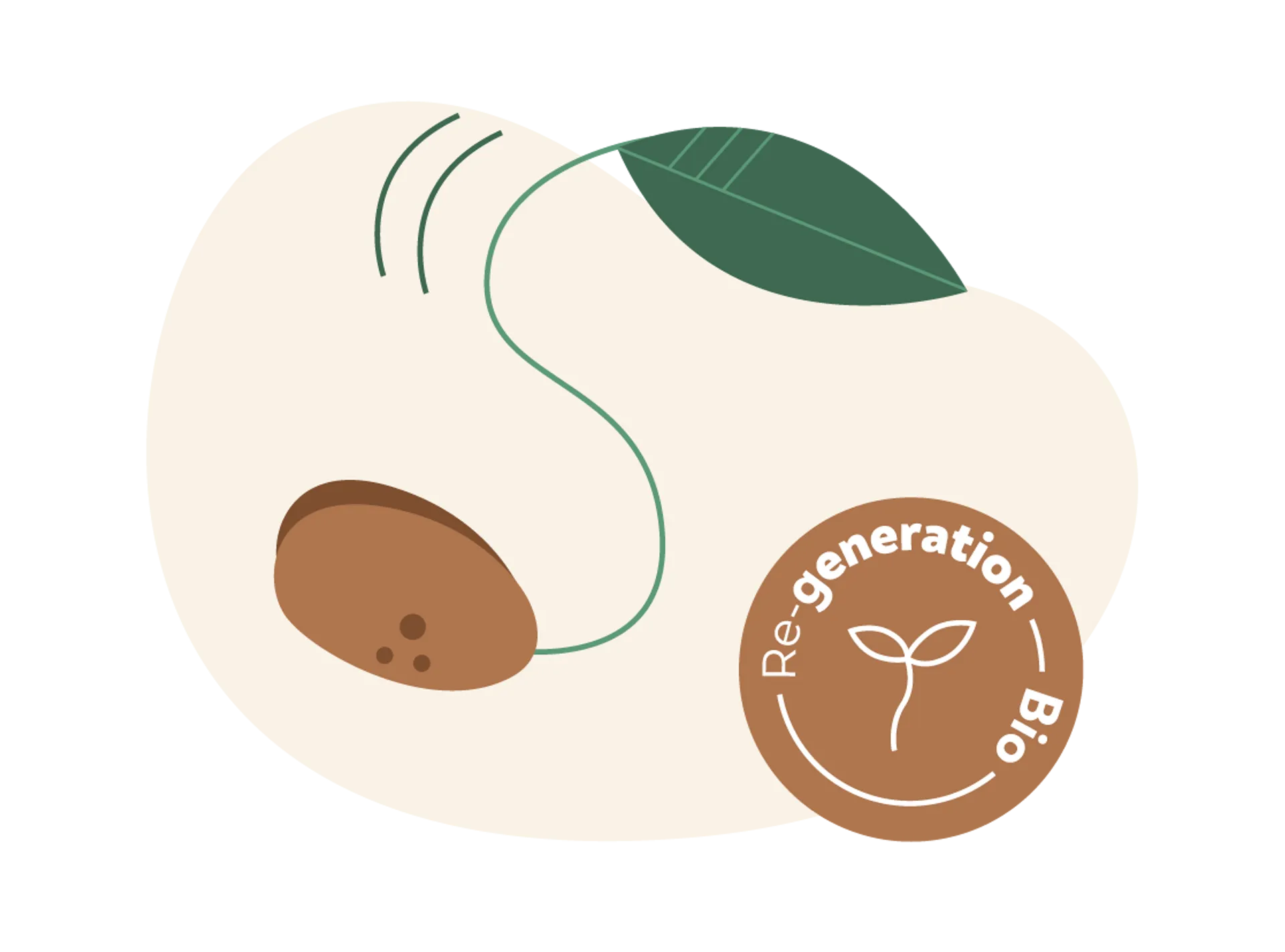 Regenerating the soil that feeds us