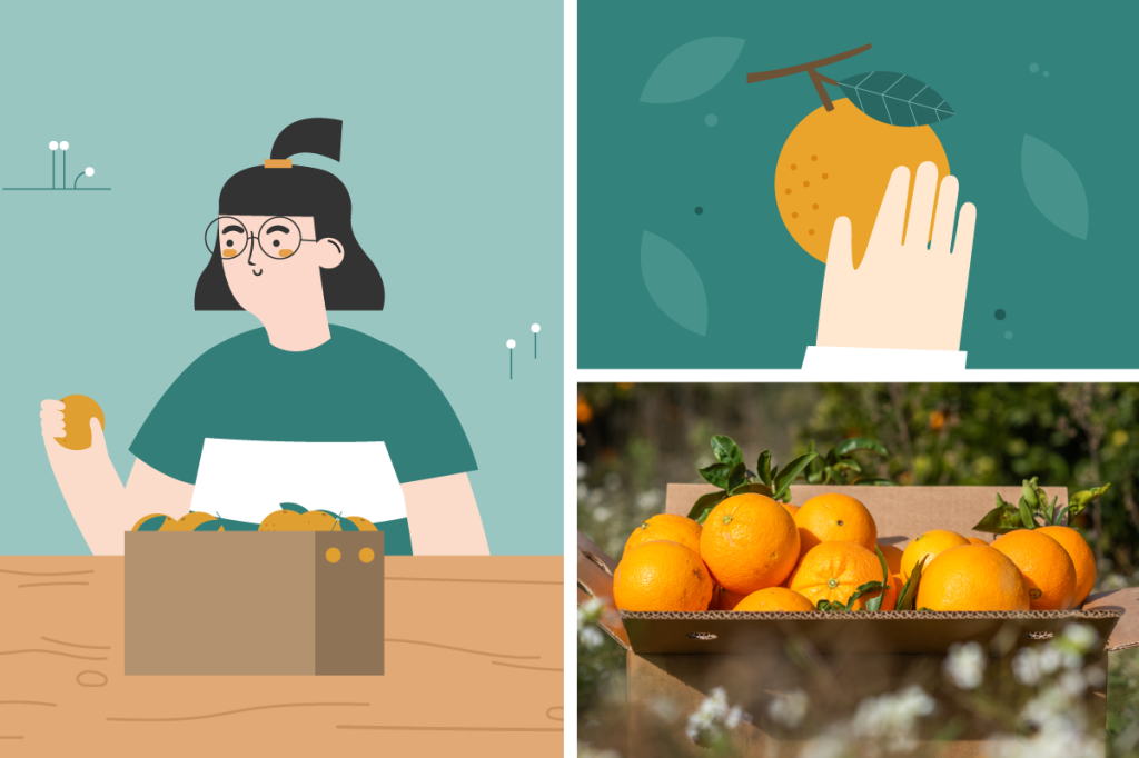 Illustration of a woman with a box of oranges and an orange on the tree